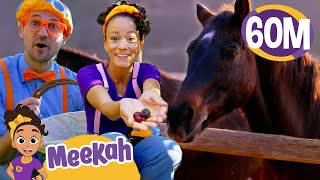 Blippi & Meekah Visit A Farm! | Educational Videos for Kids | Blippi and Meekah Kids TV