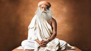 Earth Sense - Sadhguru Receives 2018 Doshi Bridgebuilder Award