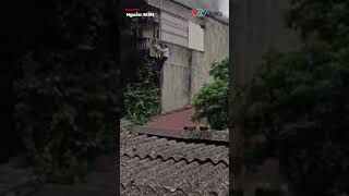 Người đàn ông trèo lên khung sắt giải cứu nạn nhân vụ cháy nhà trọ ở Phú Lương, Hà Nội | VTV24