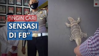 Youtuber yang Seret Biawak di Aspal dengan Motor Kini Minta Maaf, Abdullah: Ingin Cari Sensasi di FB