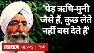 Punjab Forest : Faridkot में युवाओं ने मिलकर पूरा जंगल तैयार कर दिया. (BBC Hindi)