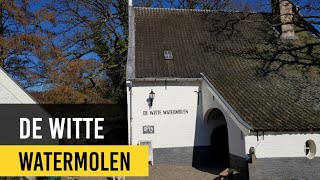 Watermolen De Witte Molen te Arnhem in bedrijf