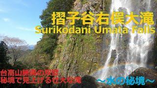 摺子谷右俣大滝 Surikodani Umata Falls・【奈良吉野 下北山村】台高山脈南の双璧 秘境から見上げる壮大な滝～水の秘境～