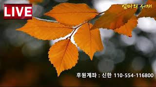 2024-10- 06일요일 하루종일 잿빛하늘 엄마의서재 실시간 음악 방송  #7080 #소통 #감성채널 #8090 #위로 #공감 #가을노래 #라디오 #가을이야기 #힐링#가을#삶