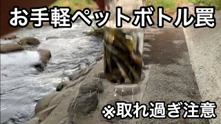 ペットボトル罠作って魚を取ってみた！