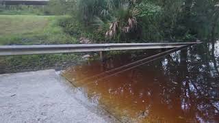 Suwannee River Dowling Park Florida