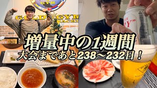 #24【増量ルーティン2024】ボディビルと飲み会を愛する男の1週間。（大会まであと238〜232日）#バルクアップ中