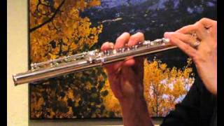 Muramatsu GX Flute (used) For Sale - Response Demo