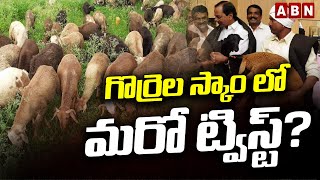 గొర్రెల స్కాం లో మరో ట్విస్ట్? | Telangana sheep scam | ACB Investigation | ABN Telugu