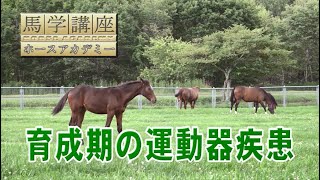 馬学講座ホースアカデミー12　４．育成期の運動器疾患