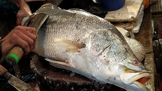 Fish Cutting System || Huge Koral Fish Cutting By Expert Fish Cutter || Fish Cutting Skills