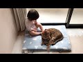 猫と娘の日常。まどろむ猫が可愛くて仕方がない1歳娘