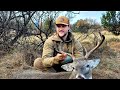 ***new*** weatherby model 307 vs deer