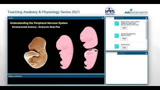 Understanding the Peripheral Nervous System - Mark Nielsen