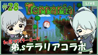 【コラボ配信 / terraria 】襲撃イベントいろいろやってみる【個人vtuber / 付喪古箱 】