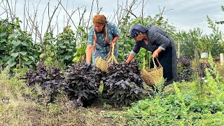 Wild Ingredient Foraging: Recipes from Nature's Pantry