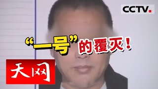 《天网》“一号”的覆灭！特大贩毒战斗打响！经过多方侦查 幕后毒枭终于现身！20151214 | CCTV社会与法