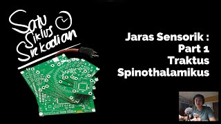 Jaras/Traktus/Sistem Saraf Sensorik (Part 1) - Traktus Spinothalamikus Anterior & Lateral