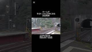 【武田尾駅】ホームが半分トンネルの中