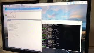 Peer Assignment: Raspberry Pi