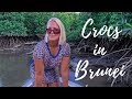 CROCODILE HUNTING | BRUNEI BOAT SAFARI