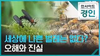 해충이냐 익충이냐? [인사이드 경인] / KBS  2022.07.21.