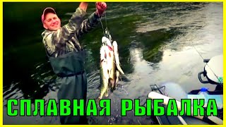 Сплавная рыбалка / Отдых на природе / Ловля щуки и голавля на спиннинг