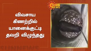 50 அடி ஆழத்தில் உள்ள யானையை மீட்பதில் சிரமம் | Elephant Fall at 50 Feet Well | Sun News