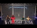 The Undertaker and Kane vs The Hardy Boys ( Tag Team Cage Match )