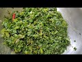 hawaijar chagempomba simple style manipurifood northeast_india cooking cookingvideo