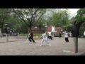 chen jen dragon gate long men tai chi 龍門太極 龍門杆棒