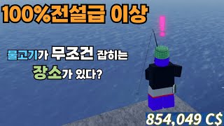 100%로 전설급 이상 물고기가 잡히는 장소가 있다? [ 로블록스 피쉬 ]