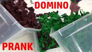 The 300,000 Domino "Accident" (PRANK!)