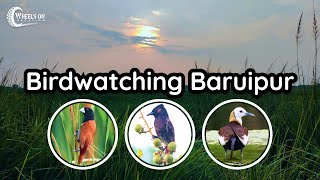 Baruipur | Birdwatching | Offbeat One Day Trip | Bird Photography Lover | Wheels on Vacation