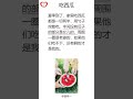 帅哥讲段子 吃西瓜 搞笑 听书 学中文 听故事 有声读物 普通话 笑话 段子 爆笑解压 放松治愈 消除烦恼 轻松催眠 普通话发音 睡觉时学中文 有声书 阅读 有声读物 audiobook