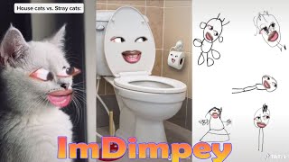 Try Not To Laugh Challenge! Funny ImDimpey TikTok Videos of 2022. All Of ImDimpey Videos.