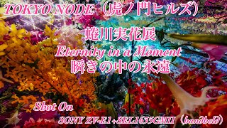 【TOKYO NODE #257】 蜷川実花展 Eternity in a Moment 瞬きの中の永遠【SONY ZV-E1+SEL1635GMⅡ】