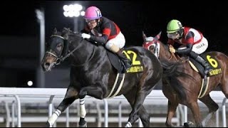 名古屋グランプリ　ダ2100m (右) 　ディクテオン　セ5　57.0　岡部誠　2023.12.21　出走馬：グランブリッジ、テリオスベル、アナザートゥルース、メイショウフンジン、セイカメテオポリス他