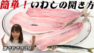 イワシの開き方/鰯を開いてみたい時にこの動画を観ると自然と出来る様になります。【おうち小料理屋かんな】かんなの台所