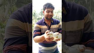 আজ পুকুর থেকে বড় রুই মাছ ধরলাম |#shorts #fishingvideo#fish #fishing