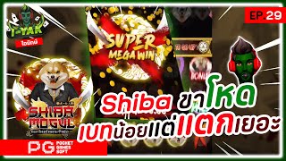 AMB | Mafia Ways ►  Shiba ขาโหด เบทน้อยเเต่เเตกเยอะ ◄