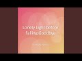 Lonely Light before Falling Goodbye