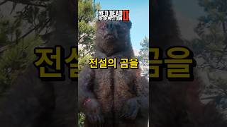 전설의 곰 잡는 방법 #레드데드리뎀션2 #레데리2 #rdr2