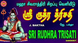 மஹா சிவராத்திரி சிறப்பு வெளியீடு | ஸ்ரீ ருத்ர த்ரிசதி | MAHAA SIVARATHRI | RUDHRA TRISATI NAAMAAVALI