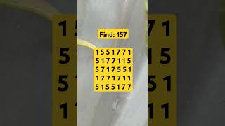 Observation Visual Test: 5 Seconds For You To Spot 157. Try Your Skills! #search #puzzle #shorts