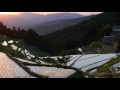 izumidani rice terrace uchiko ehime 泉谷棚田 4k ultra hd