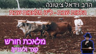 הלכות שבת - מלאכת חורש - ל\