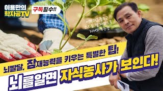 [이용만의 학자공tv] [뇌를 알면 자식 농사가 보인다]