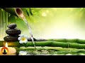 Relaxing Music, Healing Music, Meditation Music, Sleep Music, Yoga Music, Relax, Study Music ☯3564 Relaxing Music, Healing Music, Meditation Music, Sleep Music, Yoga Music, Relax, Study Music ☯3564