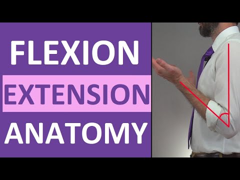 What is flexion vs extension?